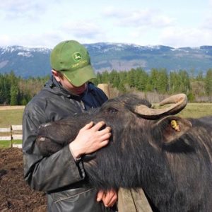 NaturalPastures ColemanMeadowWaterBuffalo Ed&Abby LOWRESWEB copy