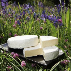 NaturalPastures ComoxBrie Field Horiz copy