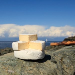 NaturalPastures ComoxCamembert Rock Horiz copy