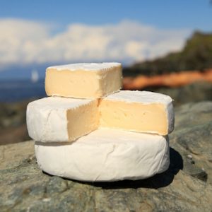 NaturalPastures ComoxCamembert Rock Vert copy